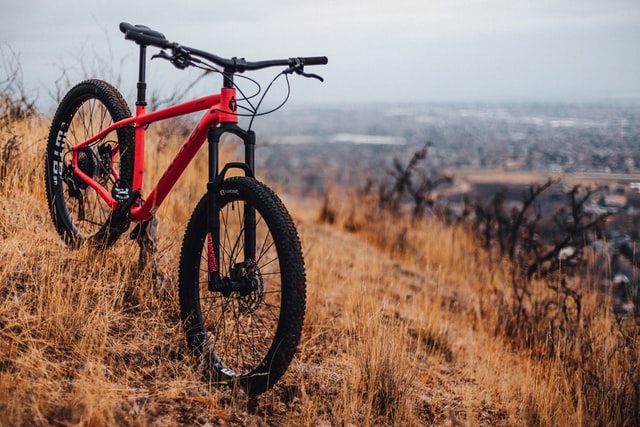 How to sell bicycles for the most money.